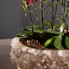 Desiree Center Piece in White Quartz and gold leaf adorned with cactus flowers, a fine object with a Brazilian soul, custom-made for unique interior design projects