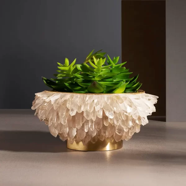 Studio photo of the Desiree Large Quartz Points Bowl with a cactus, showcasing its intricate design and precious quartz details.