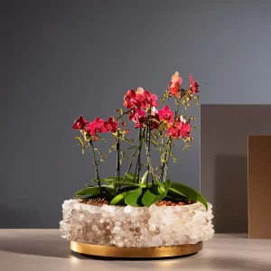 Desiree Center Piece in White Quartz, adorned with cactus flowers, showcased in a studio setting. A fine object with a Brazilian soul, custom-made for unique interior design projects.