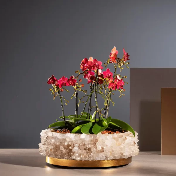 Desiree Center Piece in White Quartz, adorned with cactus flowers, showcased in a studio setting. A fine object with a Brazilian soul, custom-made for unique interior design projects.
