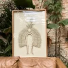 Headdress, Indigenous Natural Fiber, Modernized Sheets Hanging Above a Brown Leather Sofa on a Wall with Plants