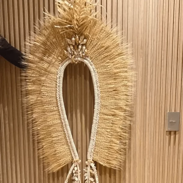 Full View of Headdress, Indigenous Natural Fiber, Moreré on Wooden Profile Wall.
