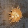 Lit Artorius Natural Quartz Wall Lamp displayed on a wall.