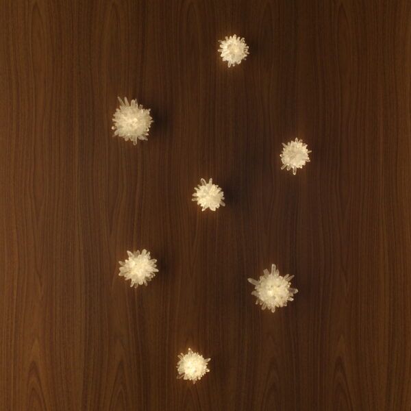 Seven Natural Quartz Wall Lamps, large and small displayed on a wooden wall.