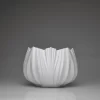Snowflake Coral Fine Porcelain Vase, white background.